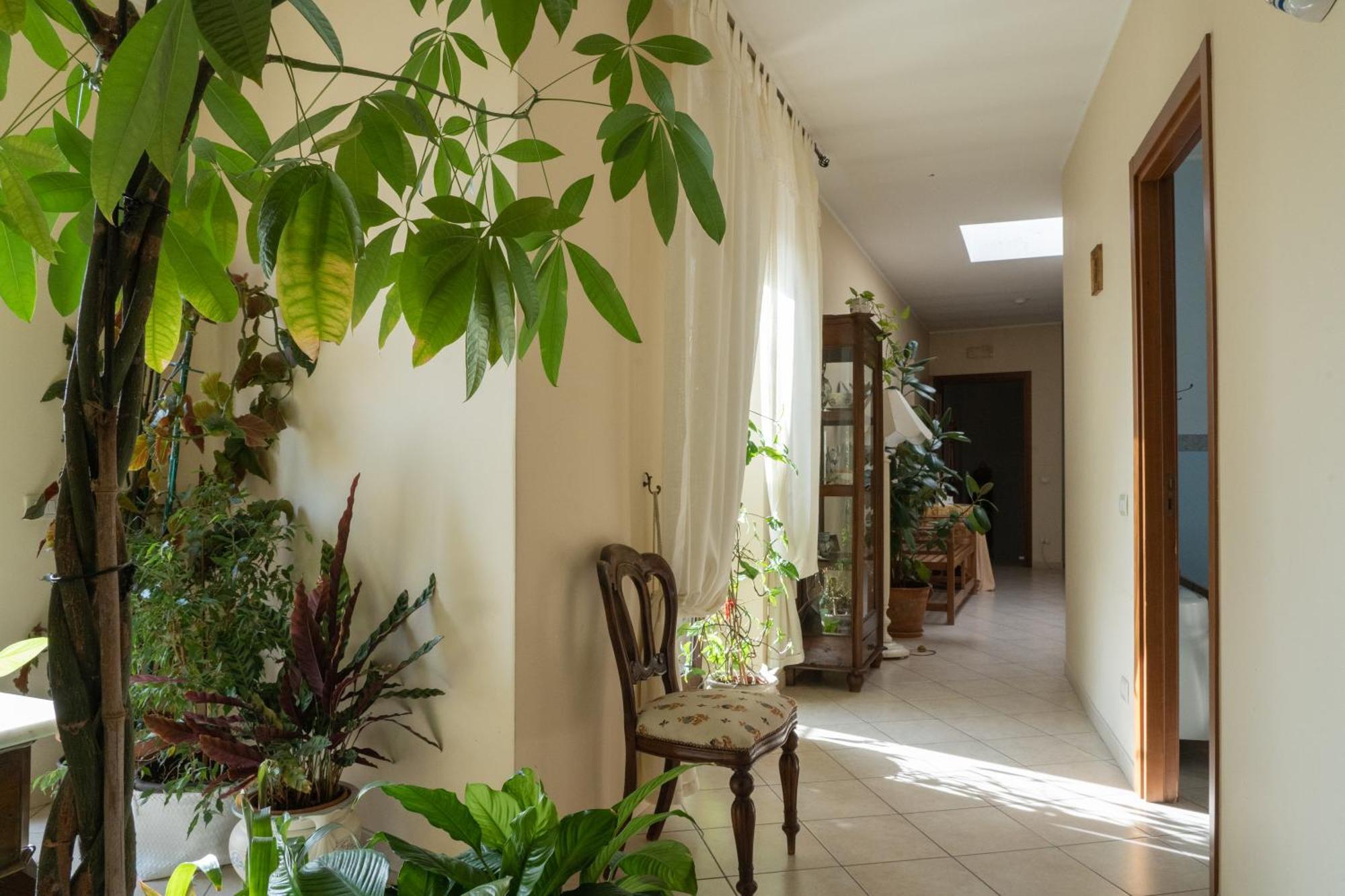 לטרצה B&B Iris מראה חיצוני תמונה